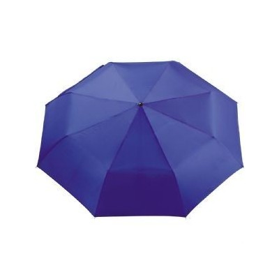 Folding Compact Umbrellas  - Pensacola 104cm Folding Umbrella