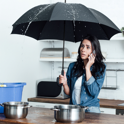 Windproof Golf Umbrellas  - Auto Open Colorized Fashion Umbrella