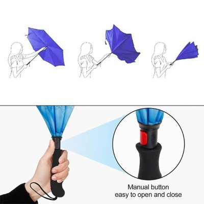 Inverted Umbrellas  - Sky Inverted Umbrella