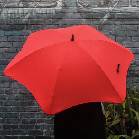 Printed Umbrellas - Blunt